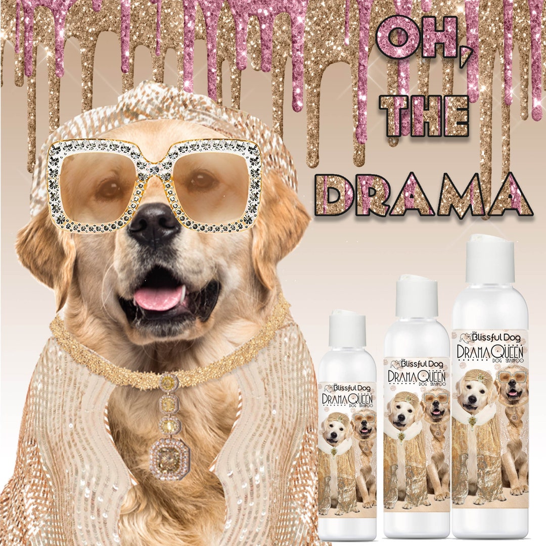 Golden Retriever Rich Bitch or G-rated Drama Queen Dog Shampoo