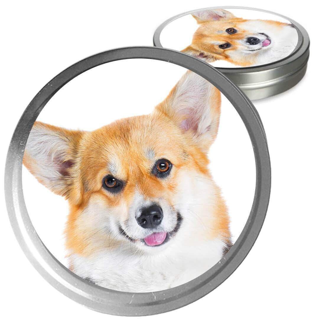 Corgi breathing best sale fast