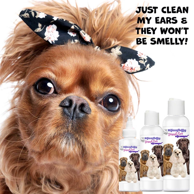 The Blissful Dog Blissfully Fresh Ear Cleaner in EZ Squirt Bottle Keep Your Dog Smelling Blissful With Ear Cleaning 4, 8 & 16 oz bottle image 5