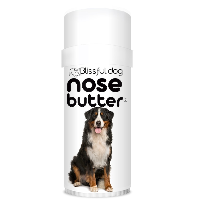 Bernese Mountain Dog Nose Butter® Handcrafted in Minnesota Using All Natural Balm for Crusty or Dry Dog Noses Tins & Tubes with Dog Label 2.25 oz Tube