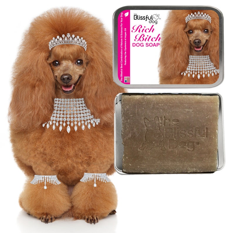soap queen dog soap