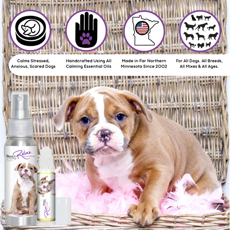 American Bulldog Relax Dog Aromatherapy RollOn & Spray for Etsy