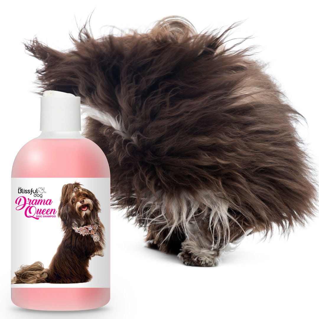 havanese shampoo