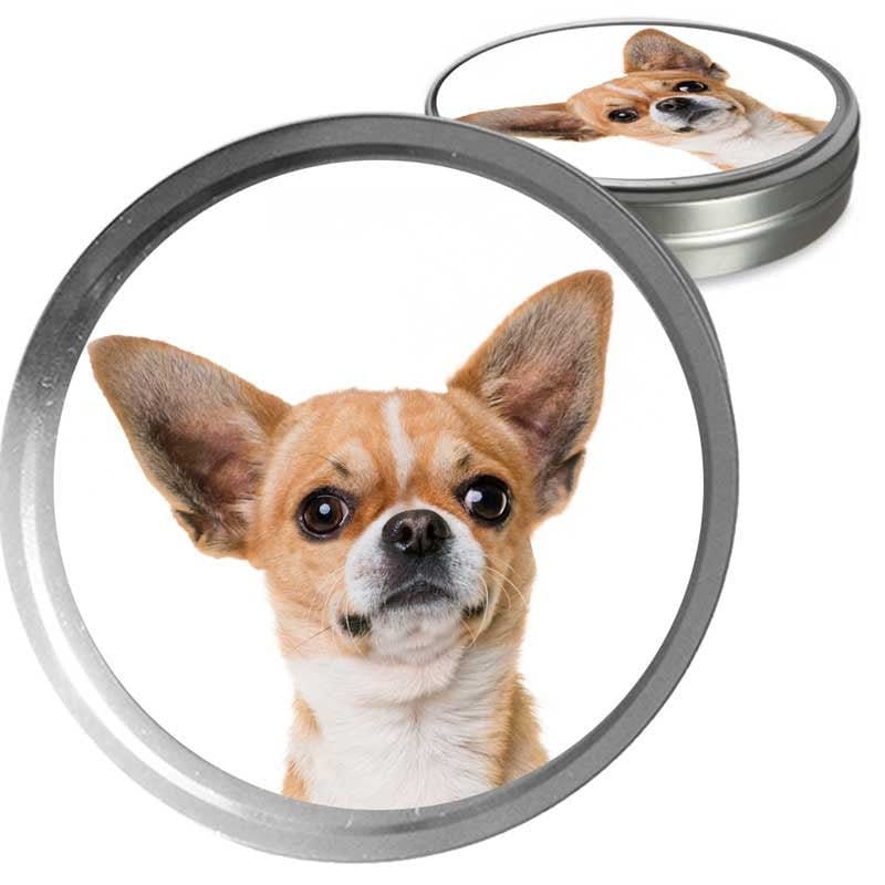 robot bug cat toy uk