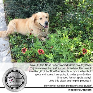 Golden Retriever Nose Butter® Handcrafted in Minnesota Using All Natural Balm for Crusty or Dry Dog Noses Tins & Tubes with Golden Label image 9