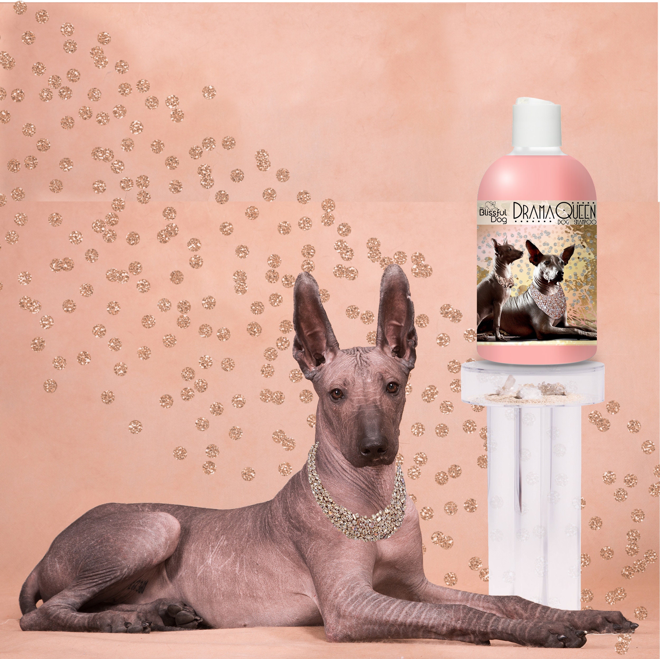 How Much Does A Mobile Xoloitzcuintli Groomer Cost