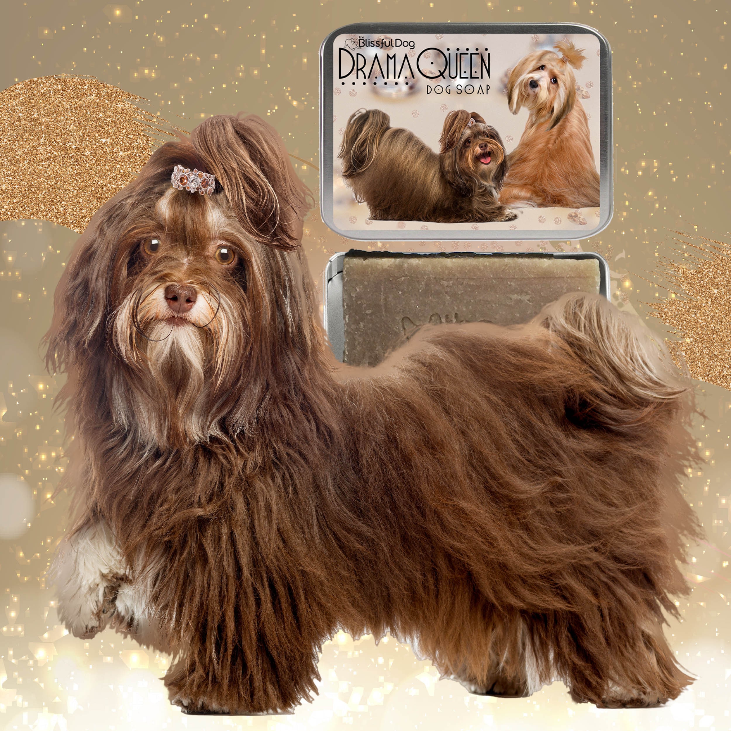 Havanese shampoo hotsell