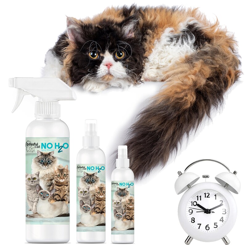 The Blissful Cat NO H20 Spray Cat Shampoo For In A Hurry Time Crunch, Seniors, On-the-Go, Don't Wanna Get Wet Cat Bathing image 3