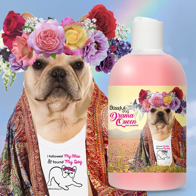 French Bulldog Drama Queen Dog Shampoo for Your Diva Frenchie Etsy