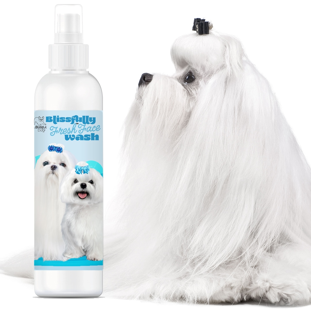 Maltese Blissfully Fresh Face Wash for wait for It Your Maltese Dog's