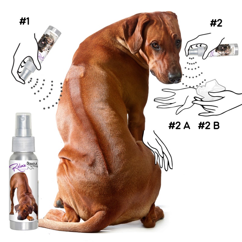 Rhodesian Ridgeback Relax Hund Aromatherapie Roll-On & Spray | Etsy