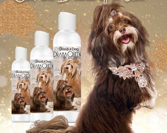Blissful Dog Best Shampoo And Conditioner For Havanese BIO-GROOM