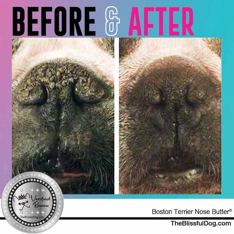 Boston Terrier Nose Butter® Handcrafted in Minnesota All Etsy