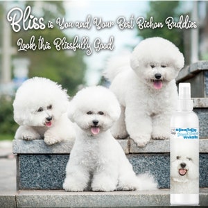 Bichon Frise Glückselig frische Gesichtswäsche für Ihr Bichon Gesicht | Reinigt & erfrischt Bart, Gesichtsfalten, Nasenfalten +