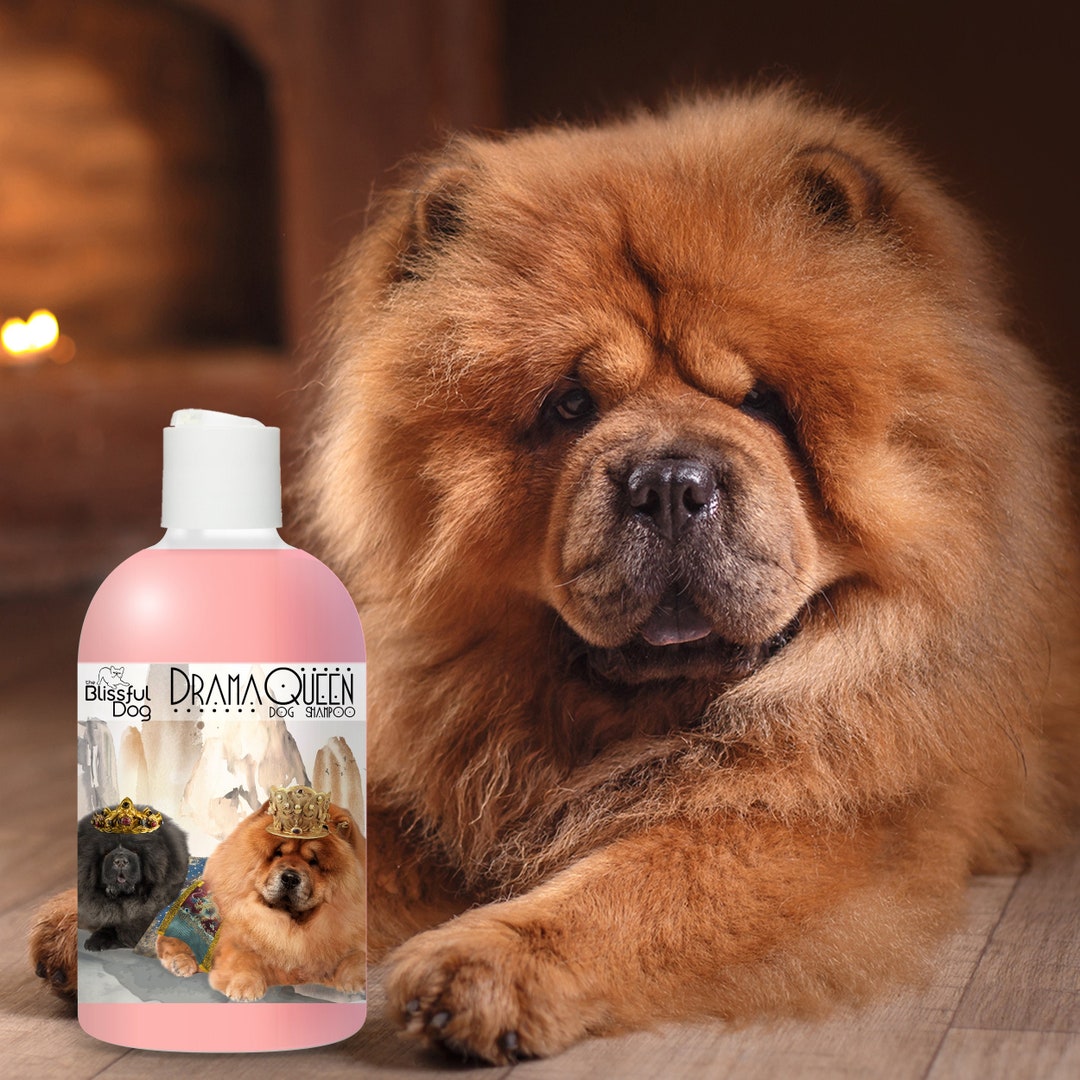 Chow Dog Shampoo for Your Diva Dog 4 8 16 Oz Bottles Etsy