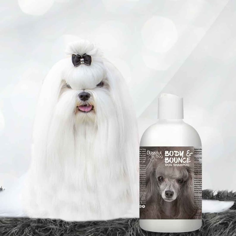 Blissfully Clean BODY BOUNCE Dog That N for Coats 【94%OFF!】