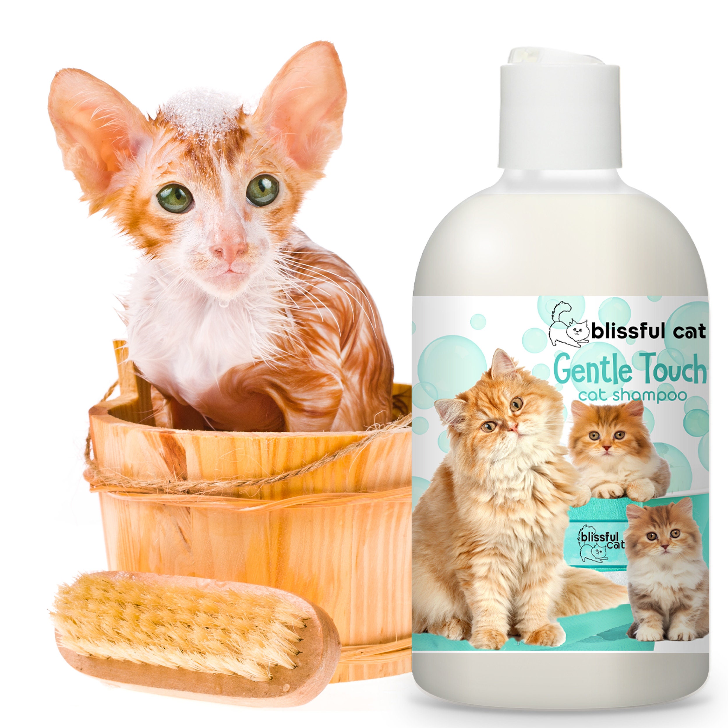 Gentle cat shampoo online