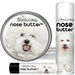 see more listings in the NOSE BUTTER BREED B section