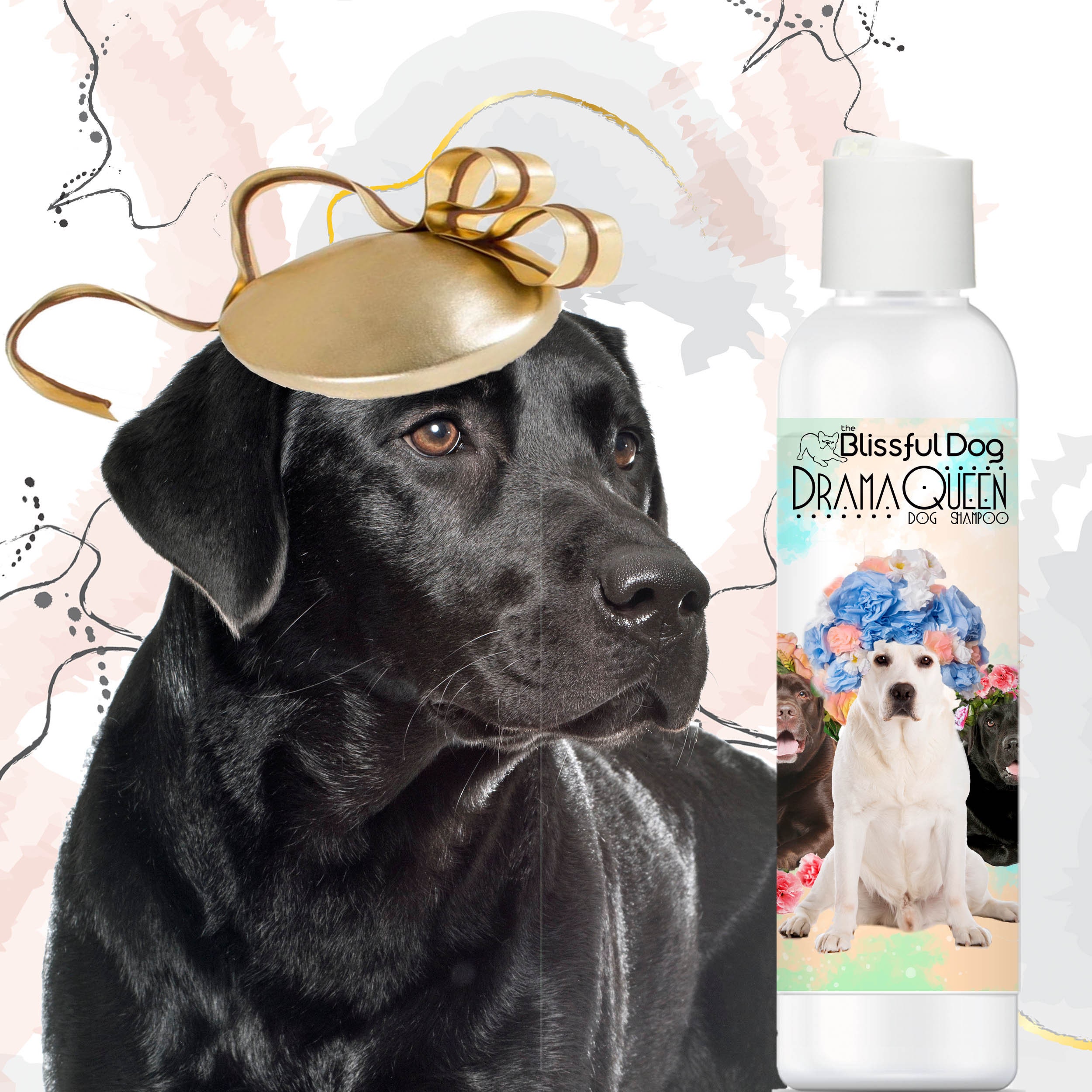 Labrador 2025 dog shampoo