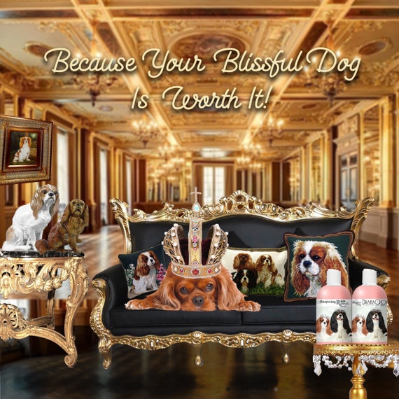 Cavalier King Charles Spaniel Shampoo for Your Diva Dog in 4 Etsy Canada