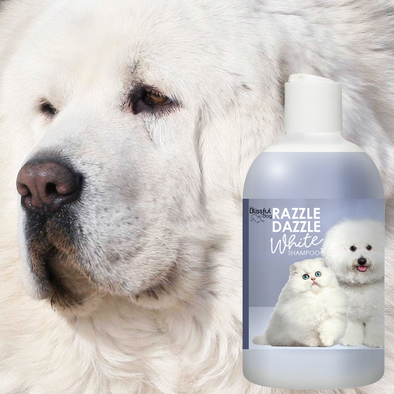 Razzle dazzle dog internationalwest