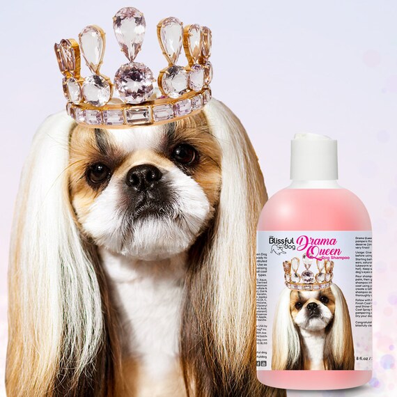 Shih Tzu Dog Rich Bitch Shampoo Or G Rated Drama Queen Dog Etsy