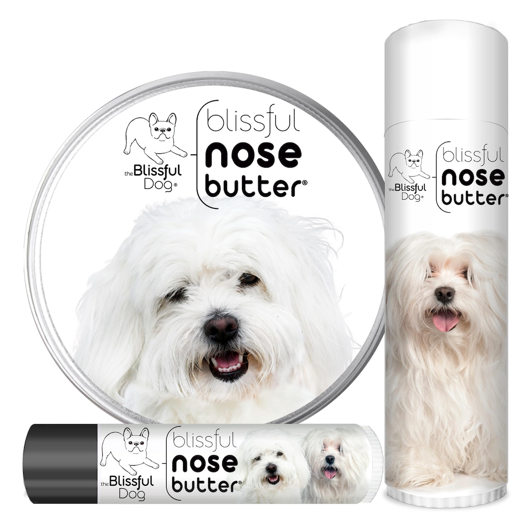 Coton Wholesale Coton De Tulear Rescue Dogs Coton De Tulear Nose