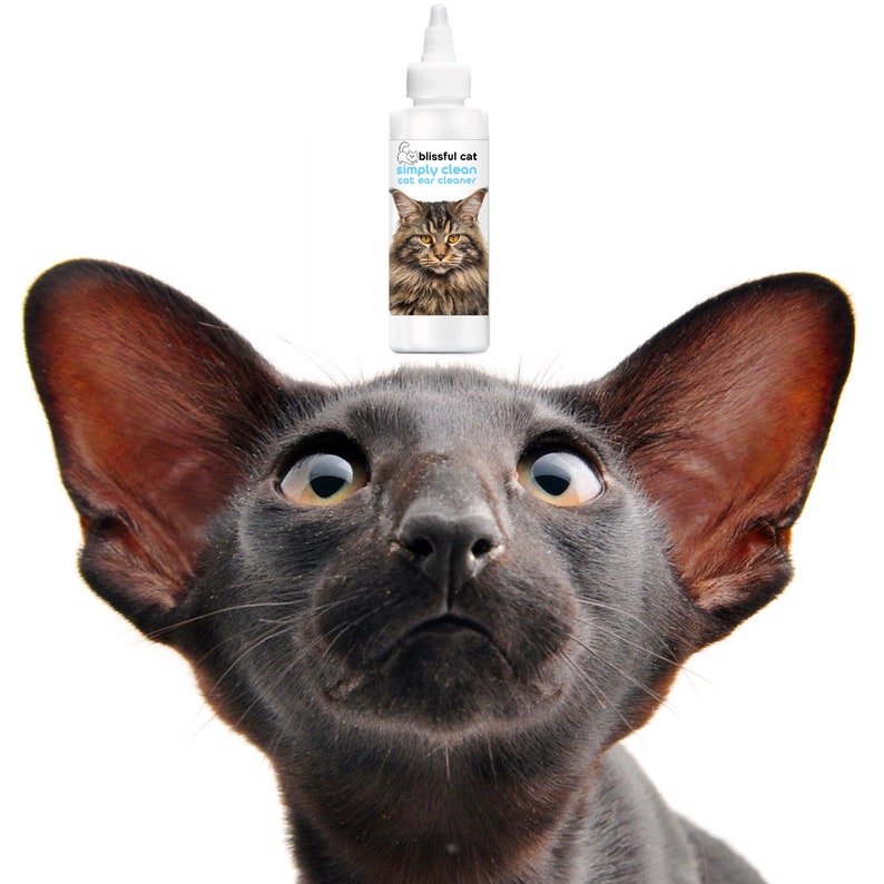 The Blissful Cat Simply Clean Cat Ear Cleaner in EZ Squirt Etsy