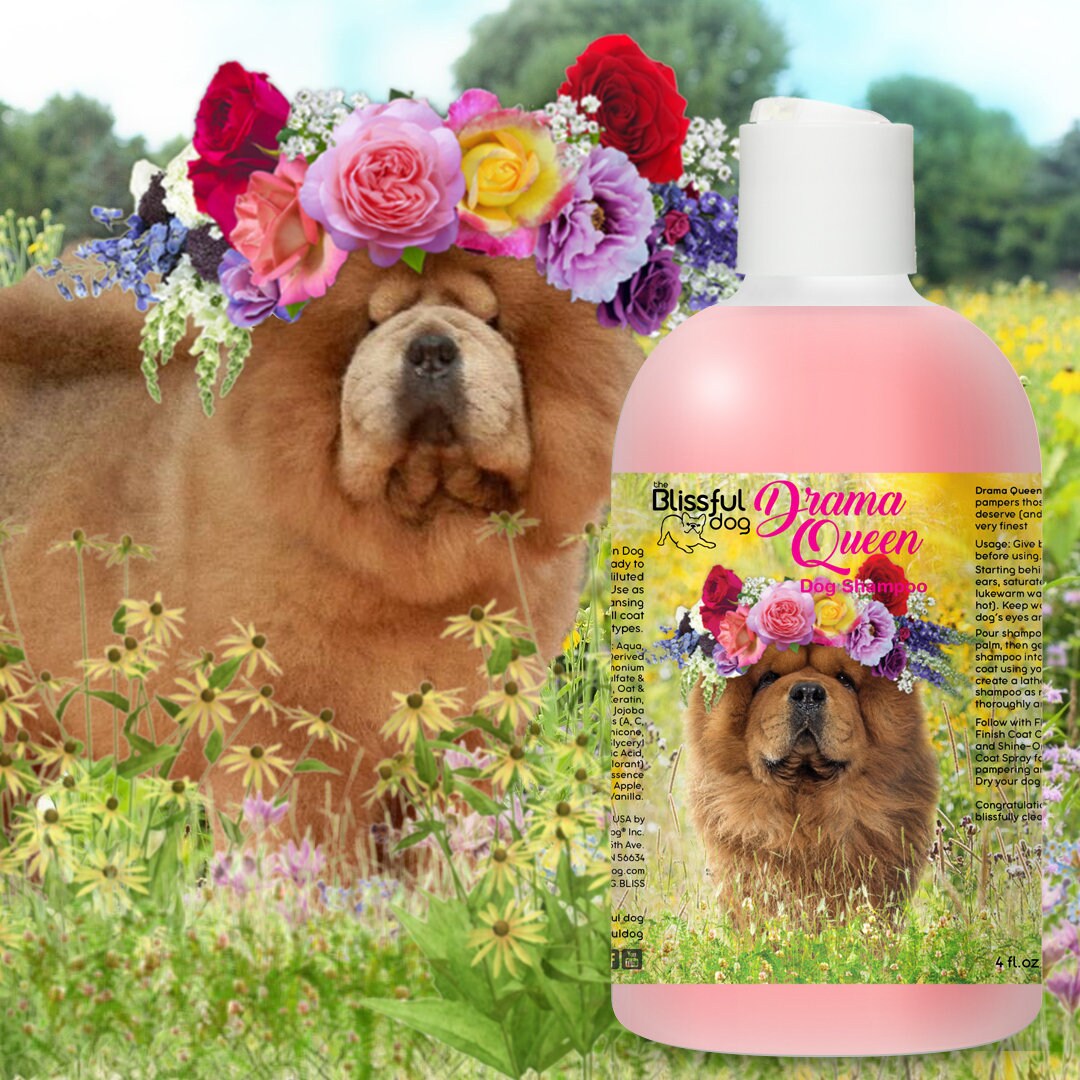 highlight dog shampoo