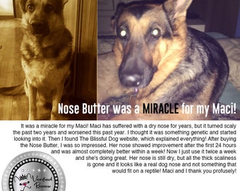German shepherd 2025 nose butter