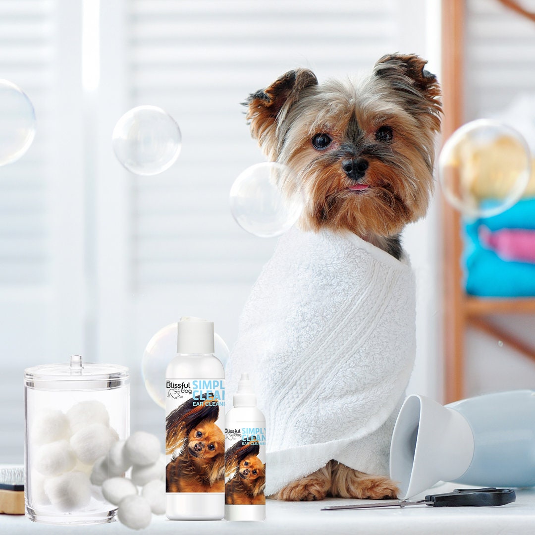 Why Do Dogs Smell Your Ears