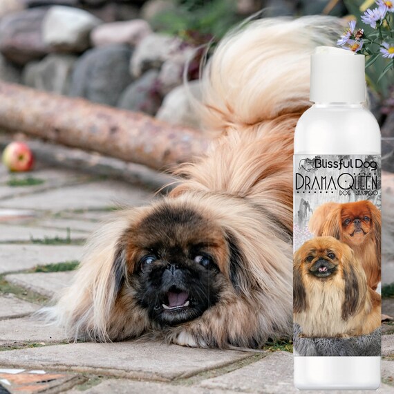 Best dog whitening shampoo uk deals