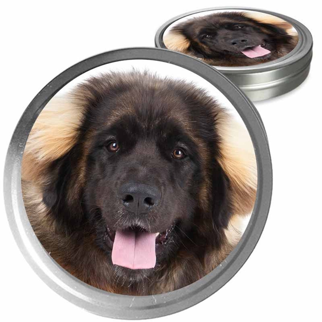 Leonberger doodle hot sale