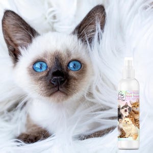 The Blissful Cat Bye Bye Boo Boo Cat Spray Suave, Herbal, Ajuda a Banir Irritações Frustrantes e Coceiras na Pele Frascos de 4, 8 e 16 oz e Galões