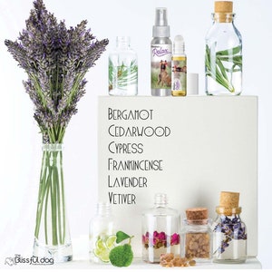 May include: A collection of essential oil bottles with various scents, including bergamot, cedarwood, cypress, frankincense, lavender, and vetiver. The bottles are arranged on a white surface with a bouquet of lavender flowers in a vase.