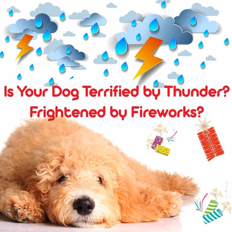 Goldendoodle Relax Dog Aromatherapy Rollon & Spray for Etsy