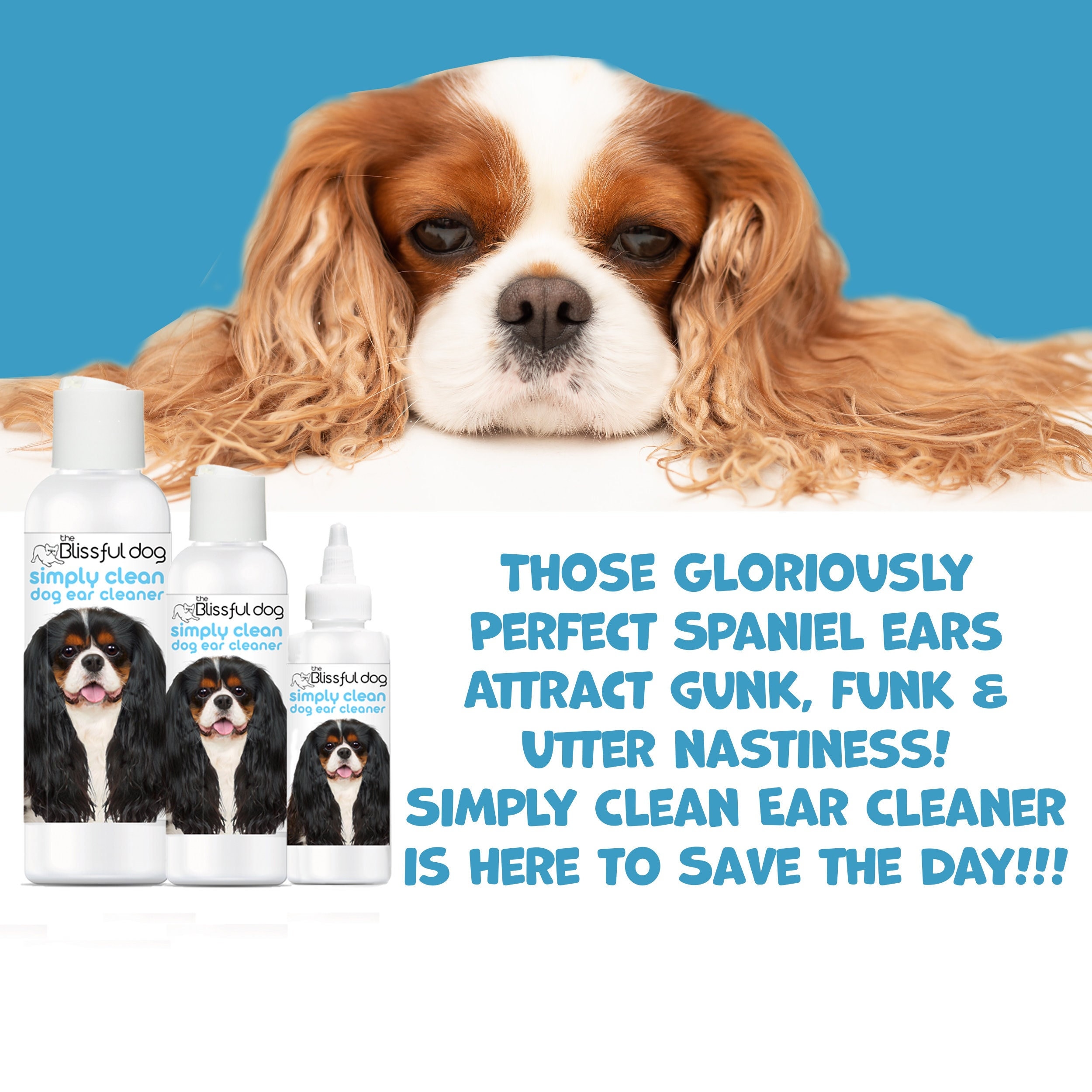 How To Keep Your Dog From Smelling