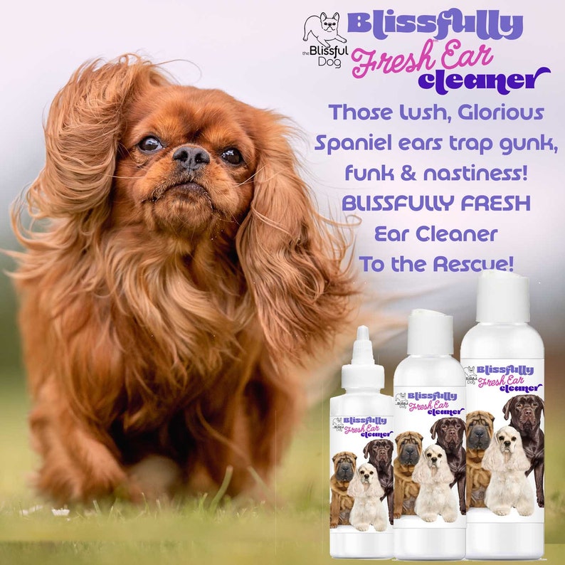 The Blissful Dog Blissfully Fresh Ear Cleaner in EZ Squirt Bottle Keep Your Dog Smelling Blissful With Ear Cleaning 4, 8 & 16 oz bottle image 6
