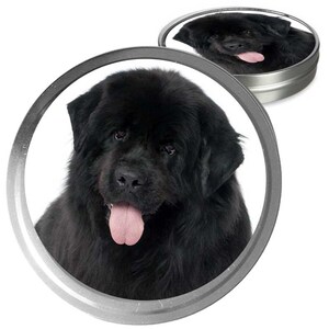 Newfoundland Essential Care Combo Handcrafted Balms for Dry Dog Noses, Rough Paws and Itchy Skin Irritations in a Storage/Gift Tin