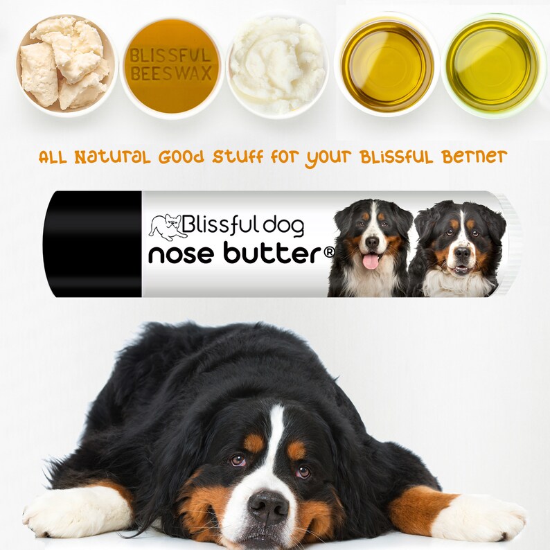 Bernese Mountain Dog Nose Butter® Handcrafted in Minnesota Using All Natural Balm for Crusty or Dry Dog Noses Tins & Tubes with Dog Label .15 oz Tube