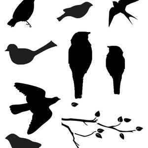 Birds, Birds, Birds with masks 8x10 Stencil, crafting, baking, kids, journaling, art journaling, painting, stenciling, shawn petite