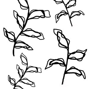 May include: Four black and white line art illustrations of leafy sprigs. Each sprig has a central stem with multiple leaves. The leaves are outlined with a double line, creating a bold, graphic effect. The background is plain white.
