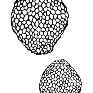May include: Two black and white illustrations of honeycomb structures. The honeycomb structures are round and have a textured surface.