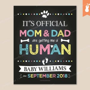 STAMPABILE / Ottenere una gravidanza umana rivelare annuncio segno Poster lavagna impronte di bambino zampa stampa ossa / 8 x 10 11 x 14 / personalizzato