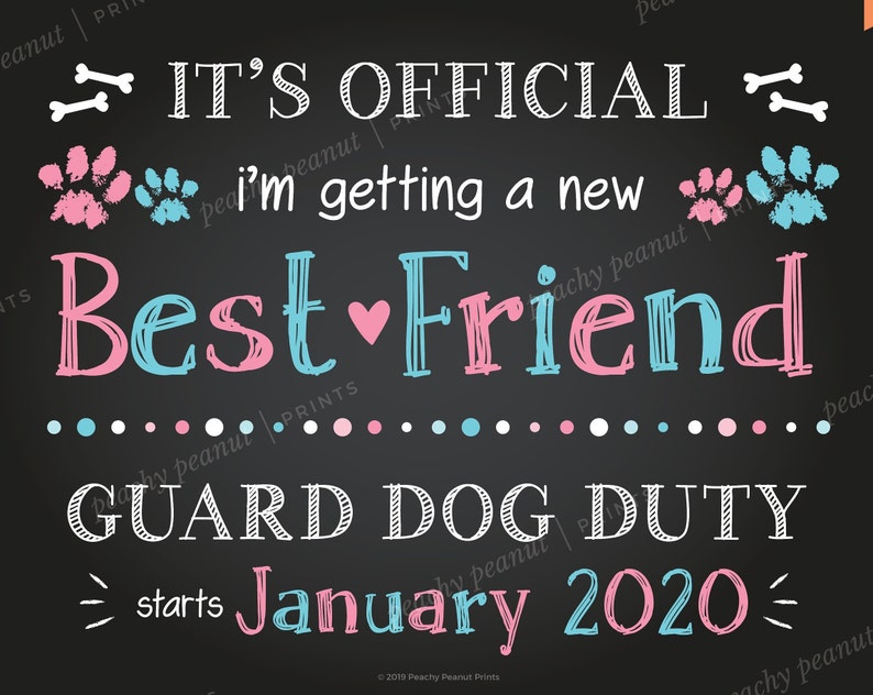 PRINTABLE // Best Friend Guard Dog Duty Pregnancy Announcement Etsy