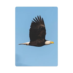 Cartes de poker patriotiques, cartes à jouer pygargue à tête blanche, jeu de cartes drapeau américain, fournitures pour la soirée match du 4 juillet, cadeau de vétéran militaire