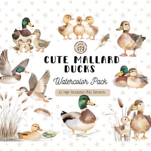 Mallard Duck Watercolor Clipart, Cute Mallard Duck Illustration, Ducklings Baby Shower Invite, Boy Birthday Party, Digital Download