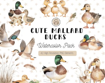 Mallard Duck Watercolor Clipart, Cute Mallard Duck Illustration, Ducklings Baby Shower Invite, Boy Birthday Party, Digital Download