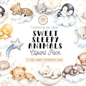 Schlafende Baby-Tiere niedliches Aquarell-Clipart-Pack - Kinderzimmer Digital Art Bundle - Halbmond, Wolken, Sterne und Nachthimmel-Elemente