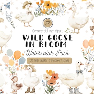 Paquete de imágenes prediseñadas de acuarela caprichosas de Silly Goose and Blooms, PNG de flores silvestres y gansos campestres vintage, arte infantil de estilo cottagecore, uso comercial